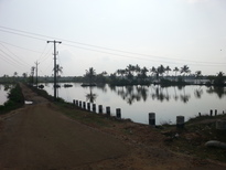 thumb_20170310_094251.jpg