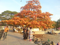 thumb_20170311_181031.jpg