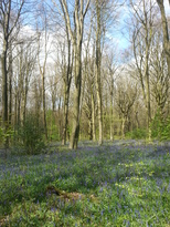 thumb_20170416_121229.jpg