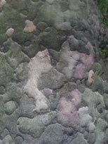 thumb_20170514_130148.jpg