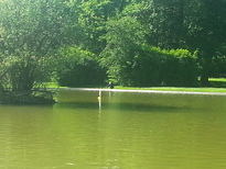 thumb_20170521_164859.jpg