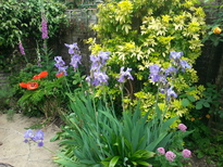thumb_20170528_124029.jpg
