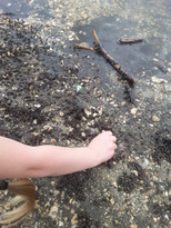 thumb_20170602_143827.jpg