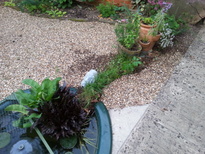 thumb_20170602_203932.jpg