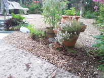 thumb_20170602_204223.jpg