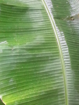 thumb_20170306_104849_0_.jpg