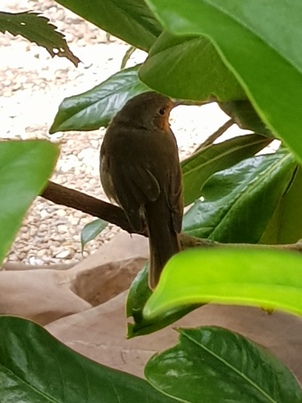 thumb_20170826_142205.jpg