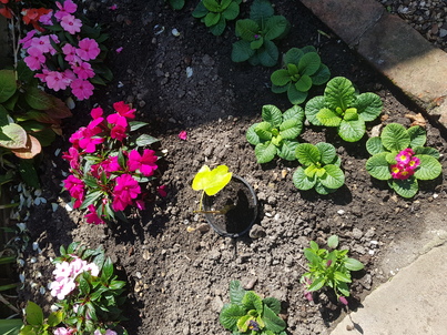 thumb_20170827_130111.jpg
