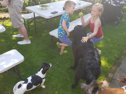 thumb_20170827_145629.jpg