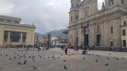 thumb_20171119_092713.jpg