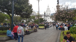 thumb_20171124_115452.jpg