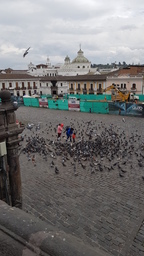 thumb_20171124_125414.jpg