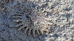 thumb_20171201_091450.jpg