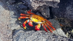 thumb_20171201_091732.jpg