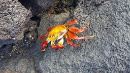 thumb_20171201_091756.jpg