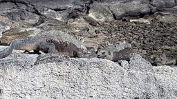 thumb_20171201_092930.jpg