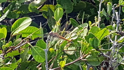 thumb_20171201_100244.jpg
