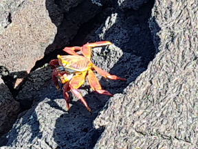 thumb_20171202_100920.jpg