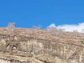 thumb_20171202_164807.jpg