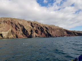 thumb_20171202_164930.jpg