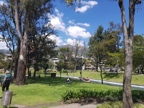 thumb_20171206_111155.jpg