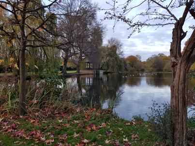 thumb_20171108_161642.jpg