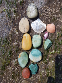 thumb_20171210_130634.jpg