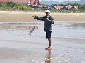 thumb_20171210_140242.jpg