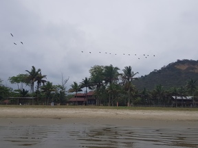thumb_20171214_143001.jpg