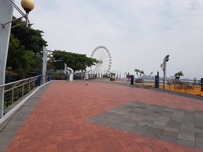 thumb_20171219_112128.jpg