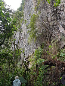 thumb_20180101_124223.jpg