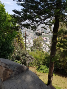 thumb_20180108_155640.jpg