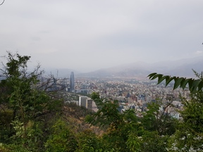 thumb_20180108_165550.jpg