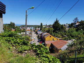 thumb_20180110_162155.jpg