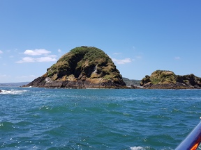 thumb_20180113_133018.jpg
