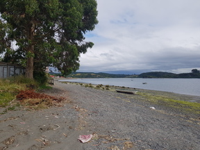 thumb_20180117_163145.jpg
