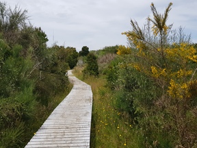 thumb_20180118_142805.jpg