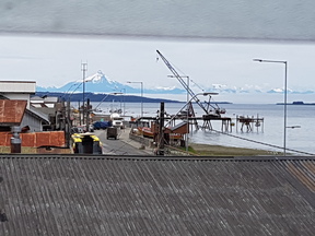thumb_20180120_134325.jpg