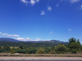 thumb_20180123_121213.jpg