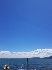thumb_20180127_144203.jpg