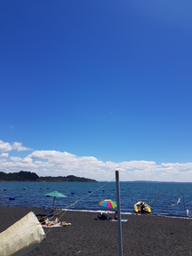 thumb_20180127_144419.jpg