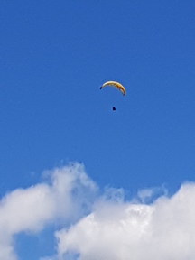 thumb_20180127_144614.jpg