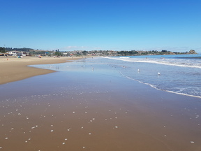 thumb_20180130_121137.jpg