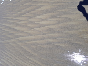 thumb_20180130_133856.jpg