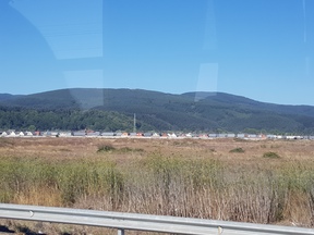 thumb_20180130_175822.jpg