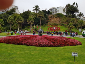 thumb_20180203_122624.jpg