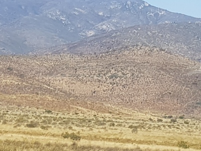 thumb_20180206_153600.jpg