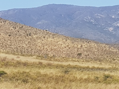 thumb_20180206_153620.jpg