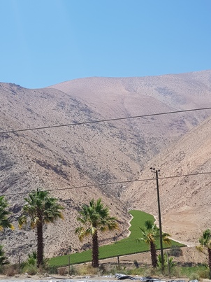 thumb_20180207_125541.jpg