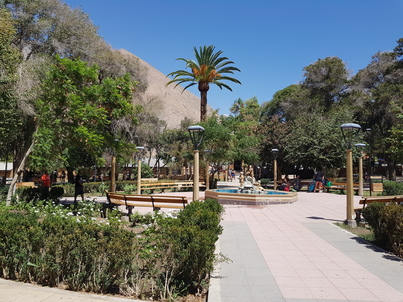 thumb_20180207_151232.jpg